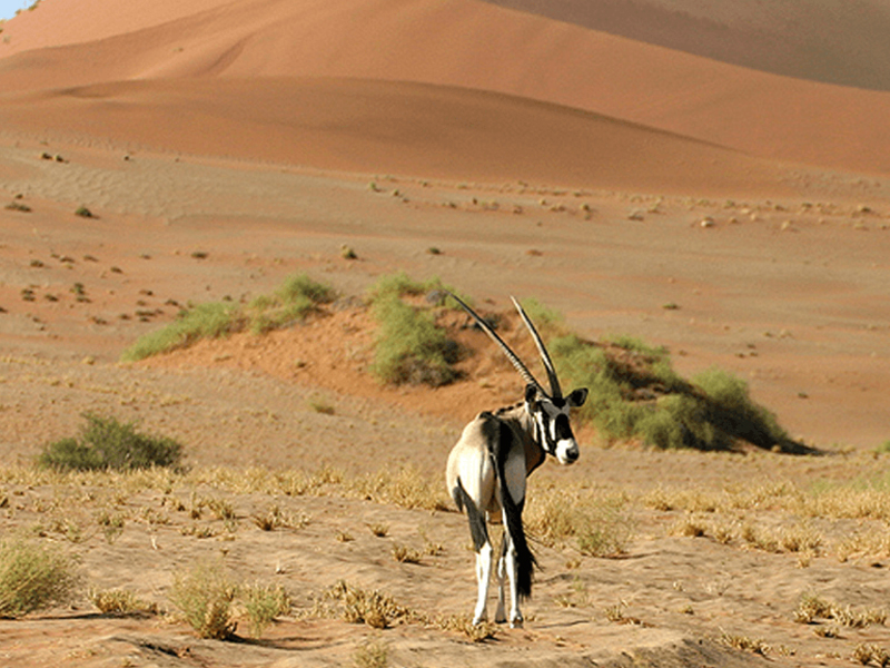 desert-national-park